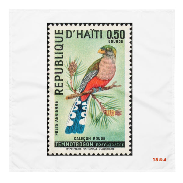 Caleçon Rouge print bandana