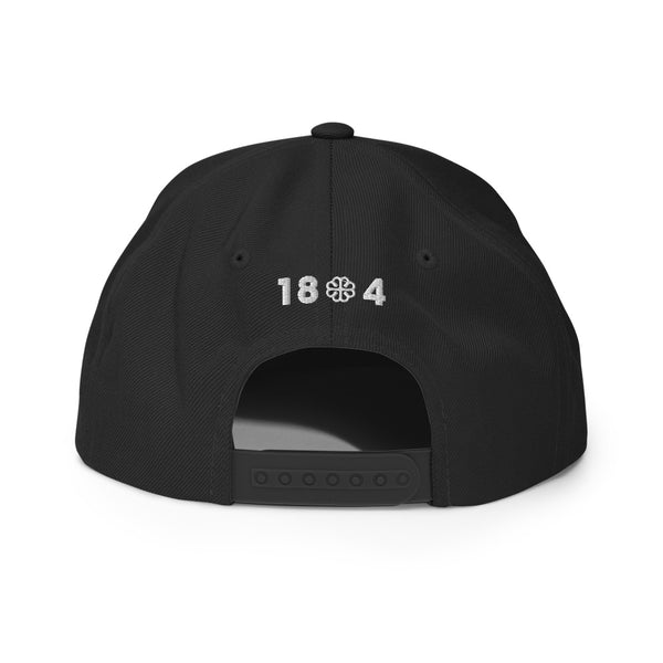 Embrace Haiti Snapback Hat