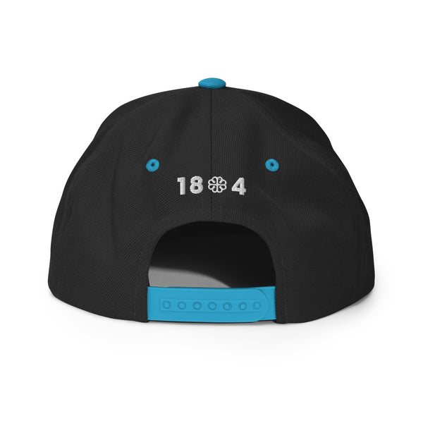 Embrace Haiti Snapback Hat