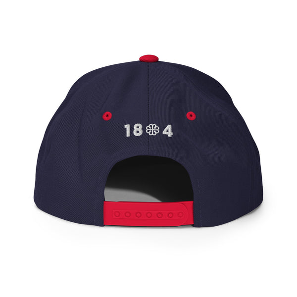 Embrace Haiti Snapback Hat