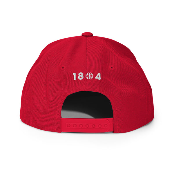 Embrace Haiti Snapback Hat