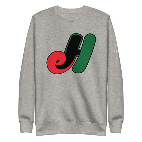 Embrace Haiti Unisex Fleece Pullover